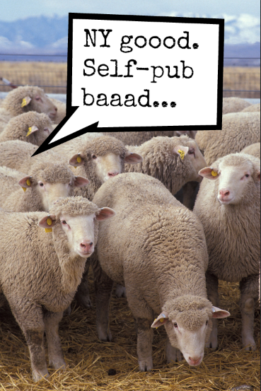 Original image via Kabsik Park courtesy of Flickr Creative Commons.