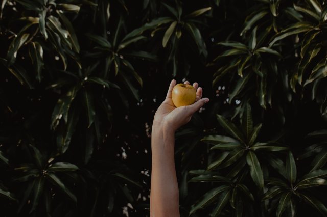 hand grasping golden apple